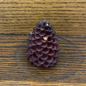 New Smith & Hawken Pine Cone Candle
